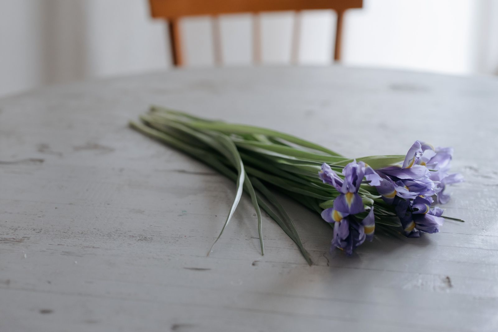 custom-ceremony-catherine-kentridge-iris-07